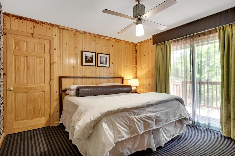 Suite, 1 King Bed with Sofa bed