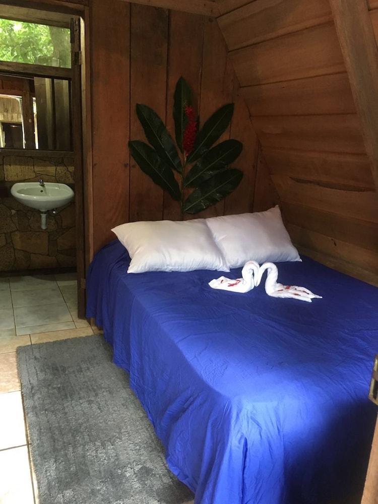 Basic Triple Room, Courtyard View photo 1
