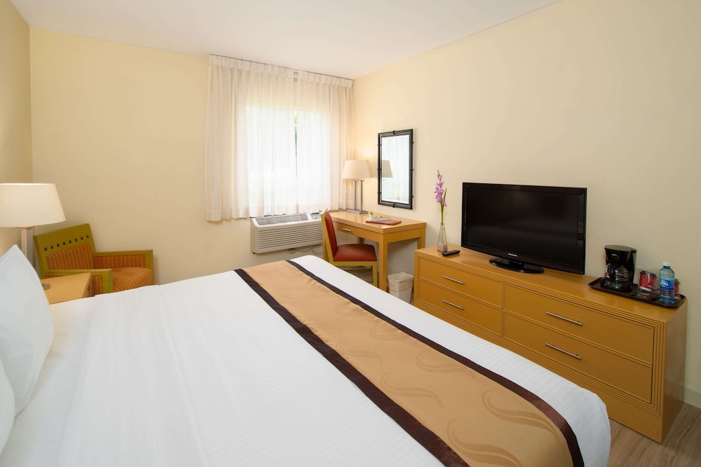 Standard Room, 1 King Bed, Non Smoking - Photo 17