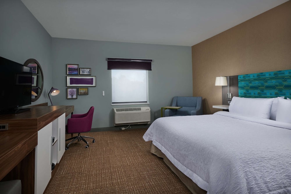 Room, 1 King Bed, Refrigerator & Microwave - Photo 4