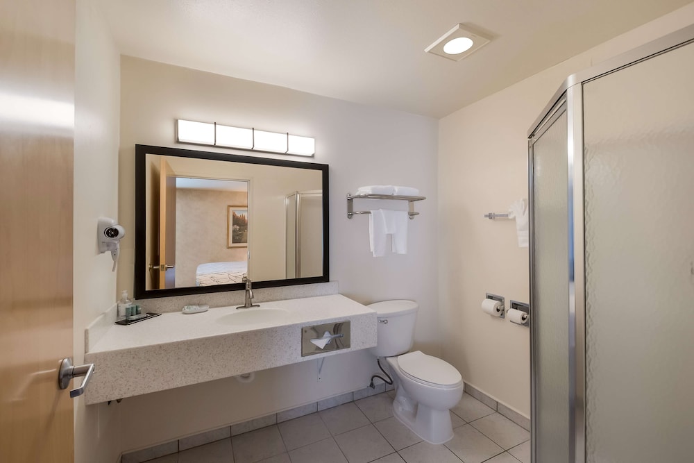Suite, 1 King Bed, Non Smoking, Refrigerator & Microwave (with Sofabed) - Photo 4