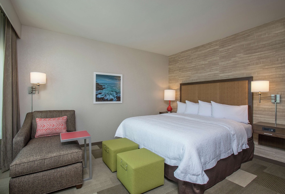Room, 1 King Bed with Sofa bed, Accessible, Bathtub (Mobility & Hearing)