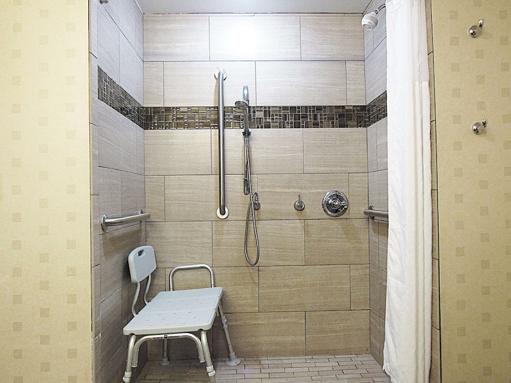 Room, 1 King Bed, Accessible, Non Smoking (w/ roll-in shower) - Photo 9