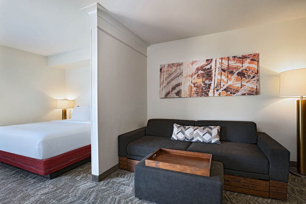 Suite, 1 King Bed with Sofa bed