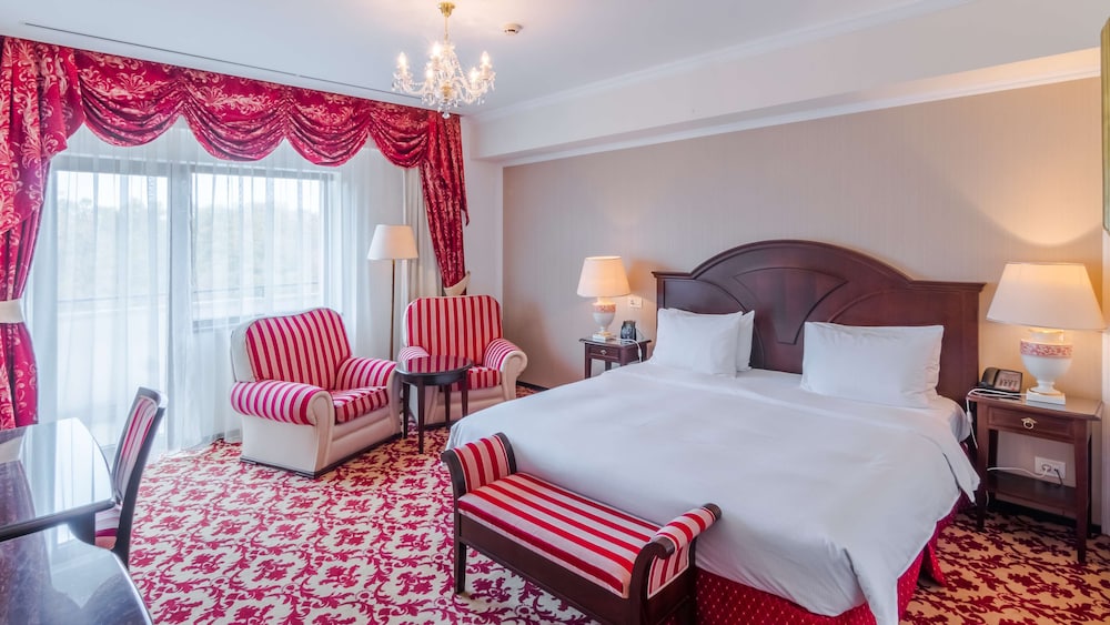Room, 1 King Bed photo 1