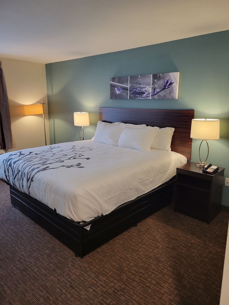 Standard Room, 1 King Bed, Non Smoking - Photo 2