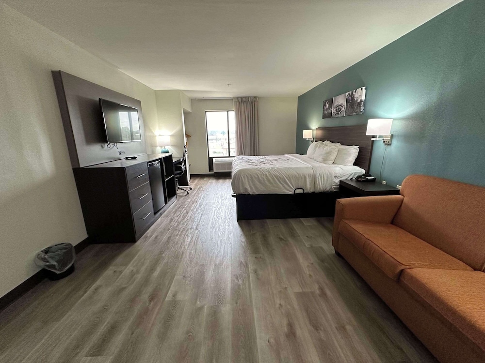 1 King Bed, Business Room, Efficiency, Suite, Nonsmoking - Photo 4