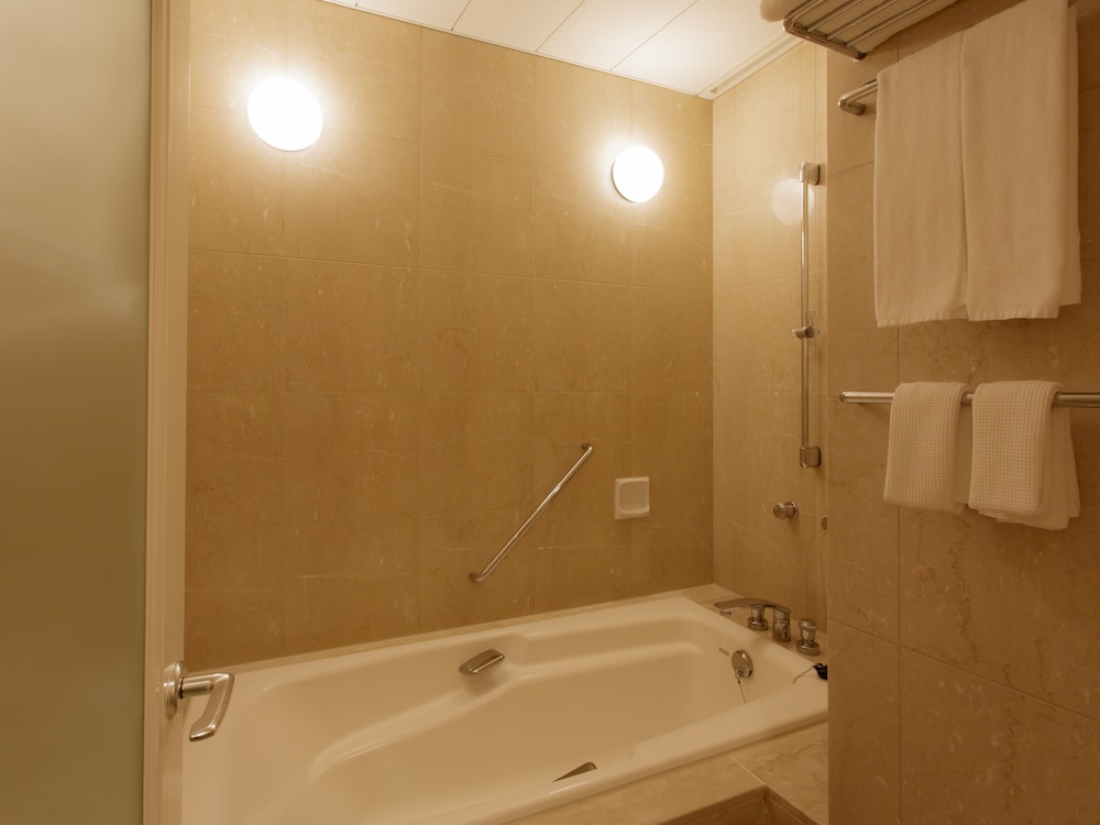 Deluxe Twin Room, Non Smoking (Top Floor / Palace Side) - Photo 9
