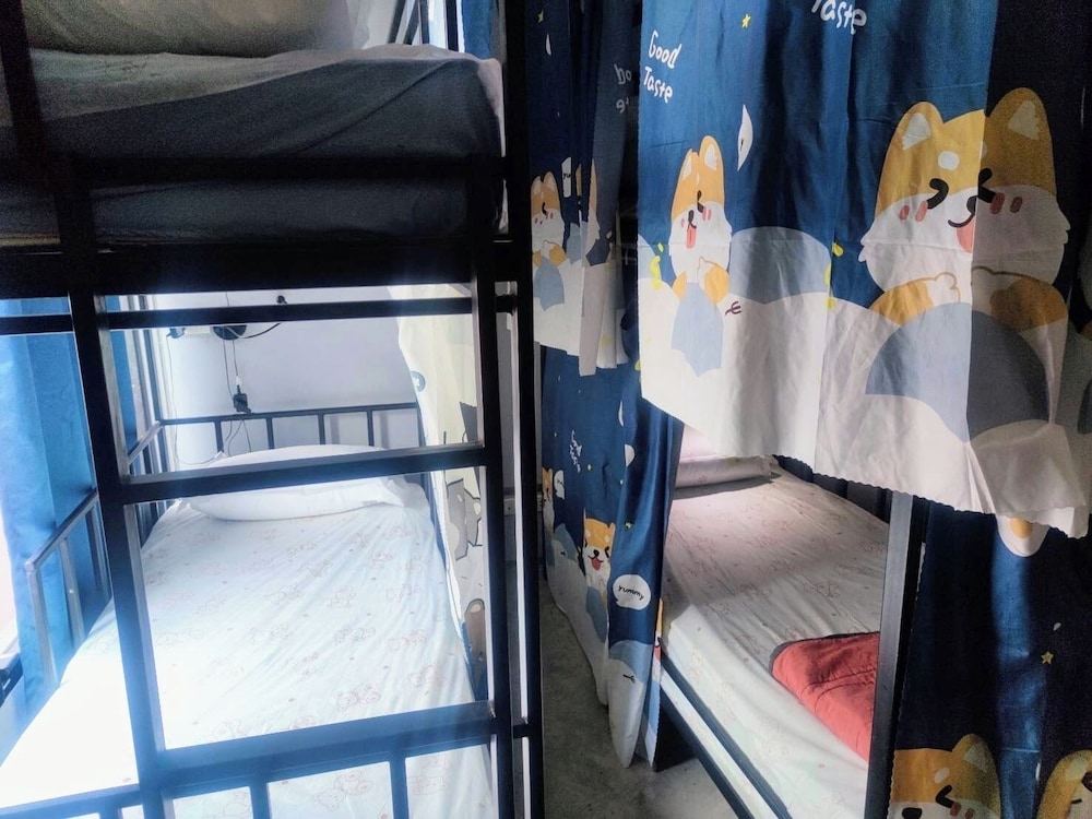 Basic Shared Dormitory, Mixed Dorm photo 3