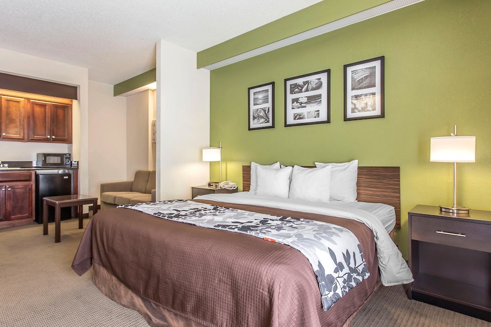 Suite, 1 King Bed, Non Smoking - Photo 4