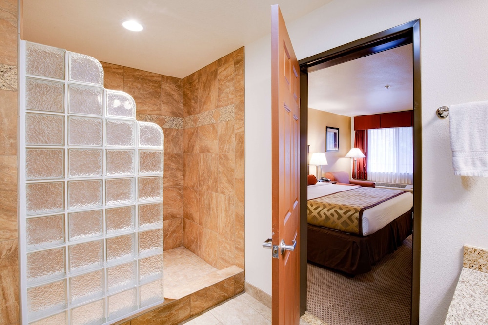 Standard Room, 1 King Bed, Non Smoking, Refrigerator & Microwave (Shower Only) - Photo 5
