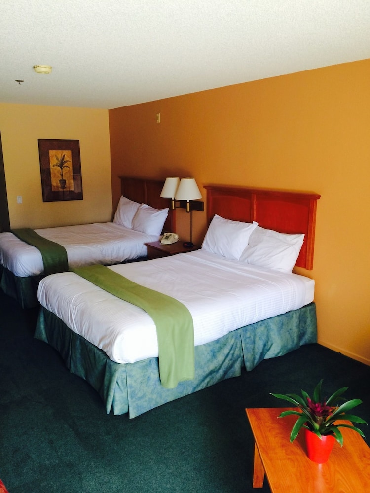 Room, Multiple Beds (Deluxe Poolside Room) - Photo 3