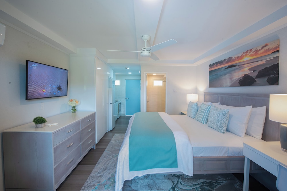 Studio, 1 King Bed