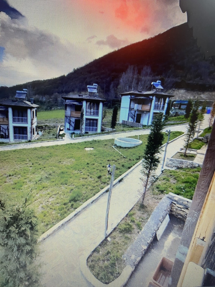 Business Villa photo 2