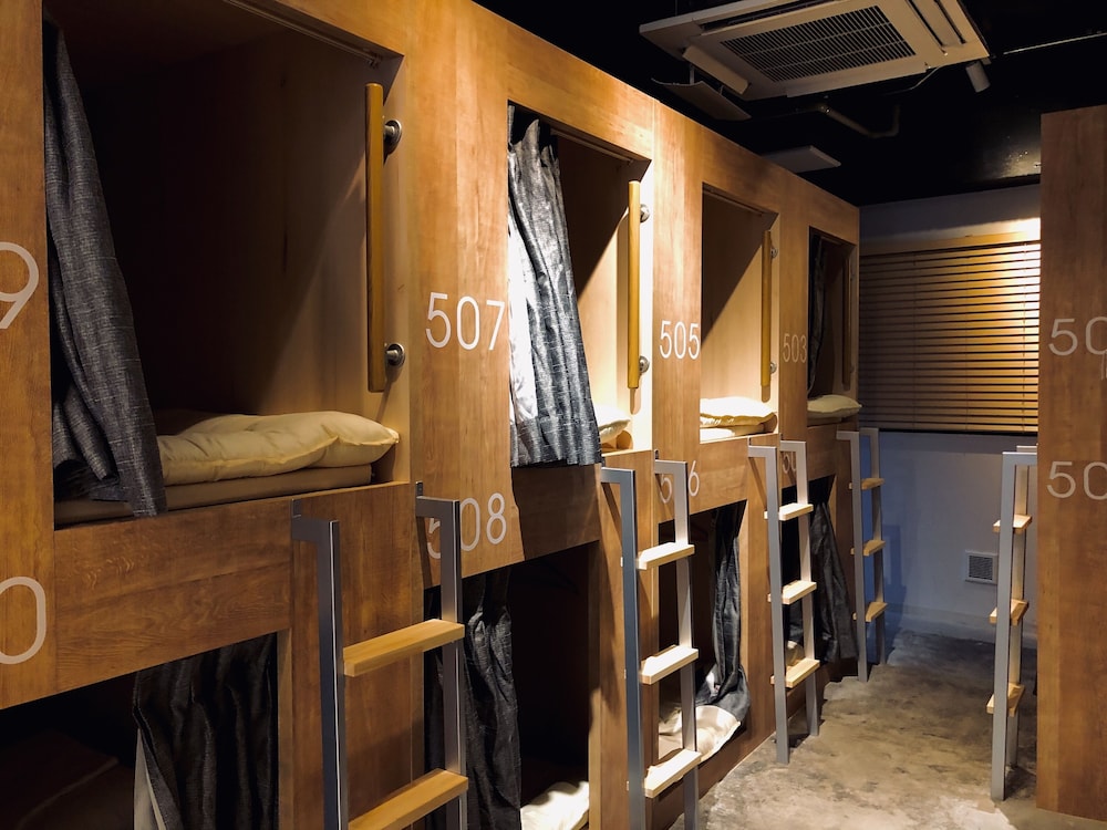 Bunk Bed in 16-Beds Mixed Dormitory Room photo 2