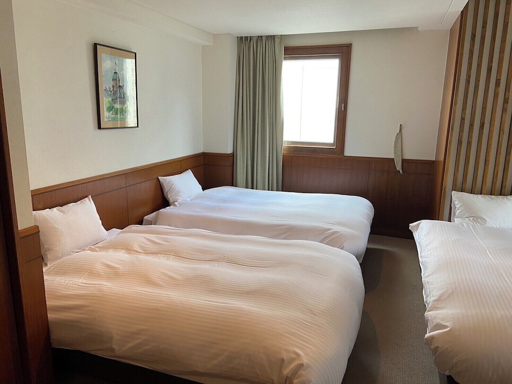 Basic Triple Room