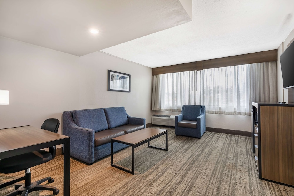 Suite, 1 King Bed, Non Smoking, Refrigerator & Microwave (with Single Sofabed) - Photo 3