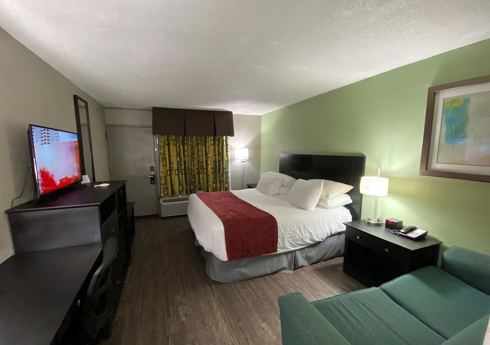 Standard Single Room - Photo 17