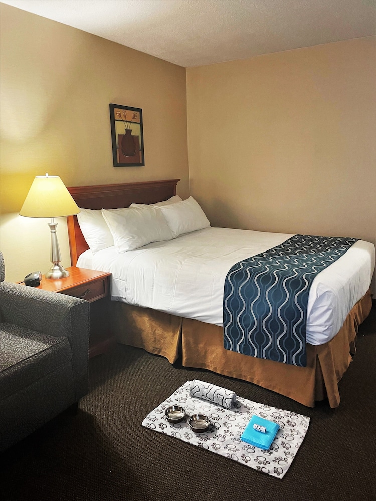 Traditional Room, 1 Queen Bed