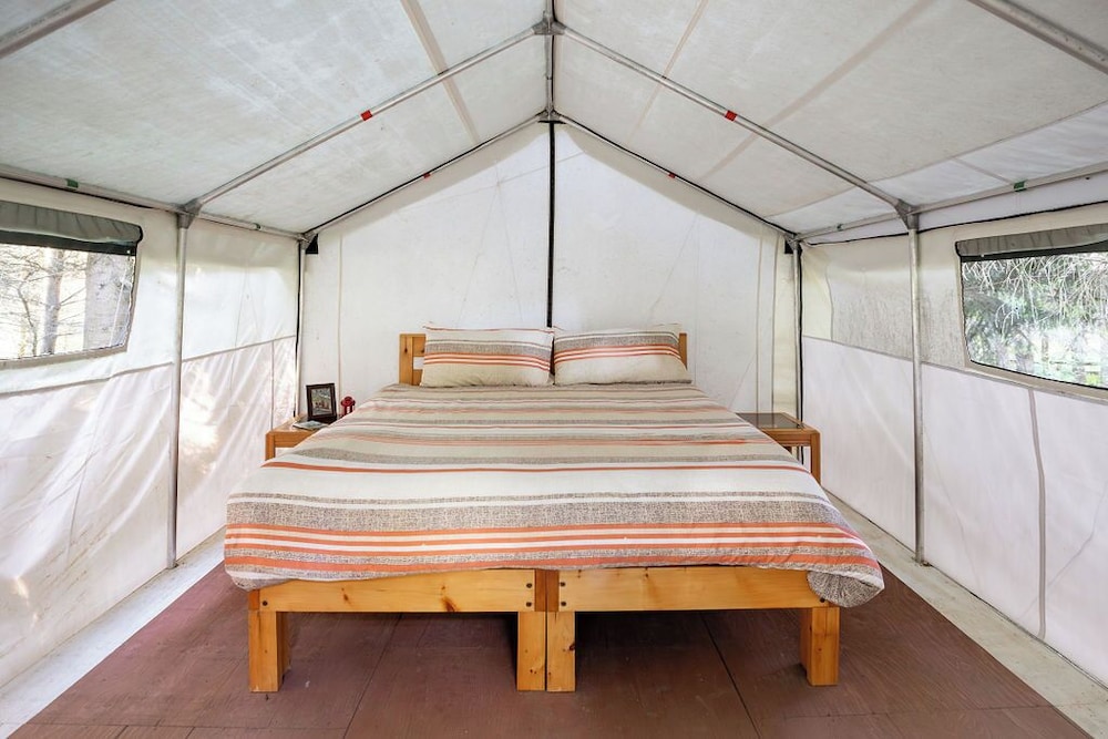 Deluxe Tent, 1 King Bed photo 1