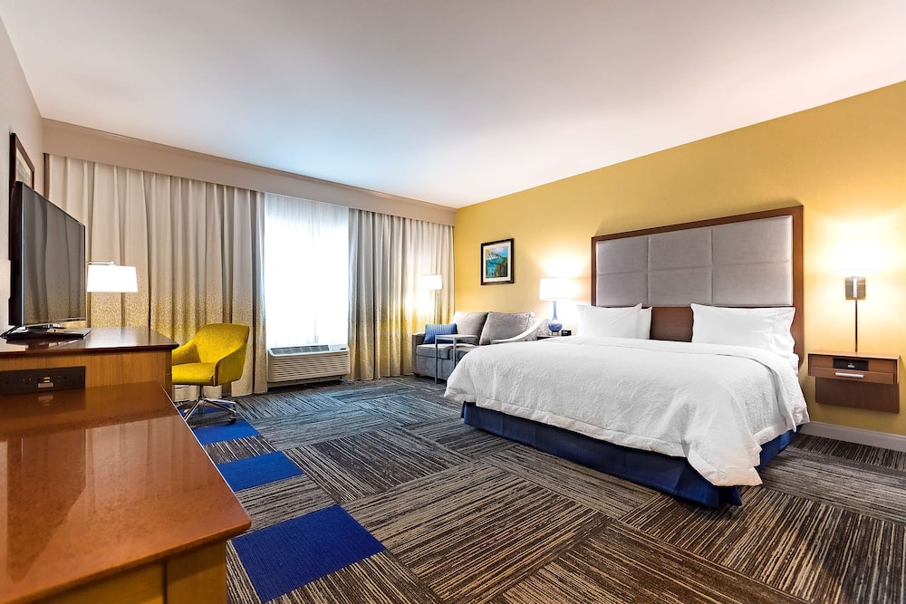Room, 1 King Bed, Accessible (Roll-in shower)