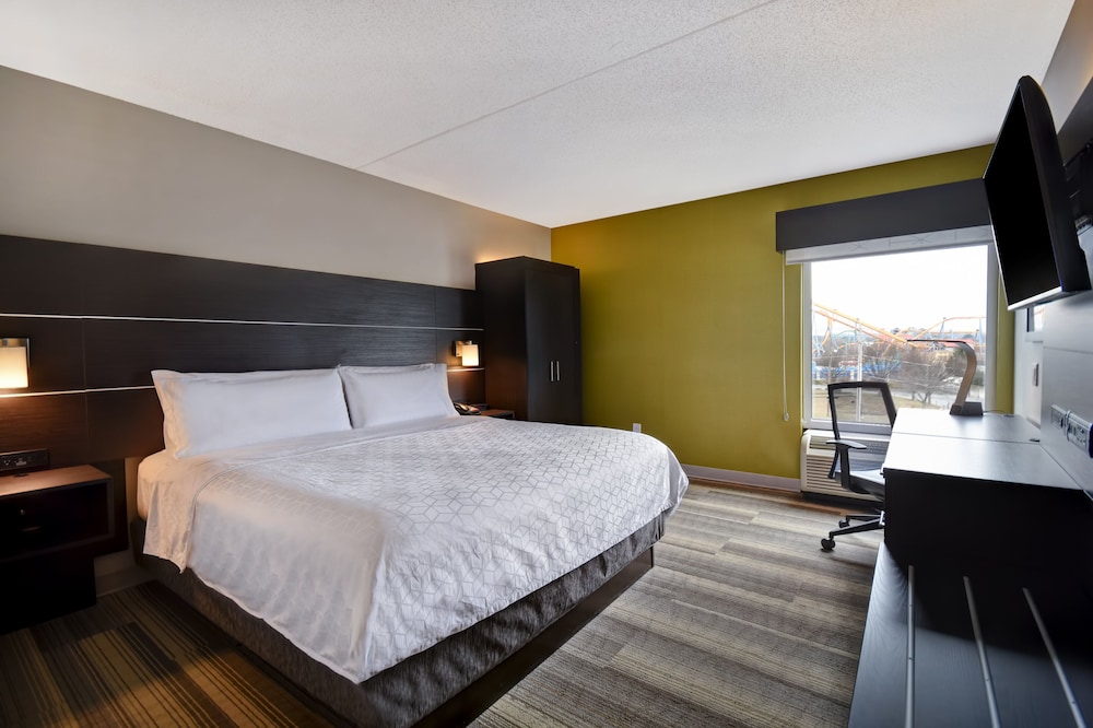 Standard Room, 1 King Bed, Park View (Dorney Park View) - Photo 2