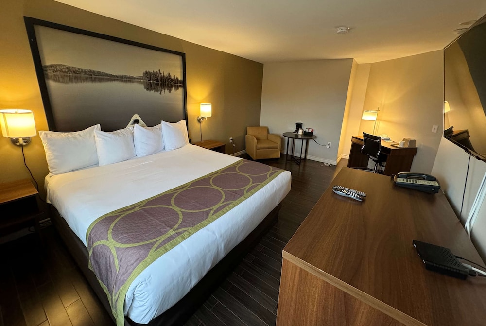 Suite, 1 King Bed, Refrigerator photo 1