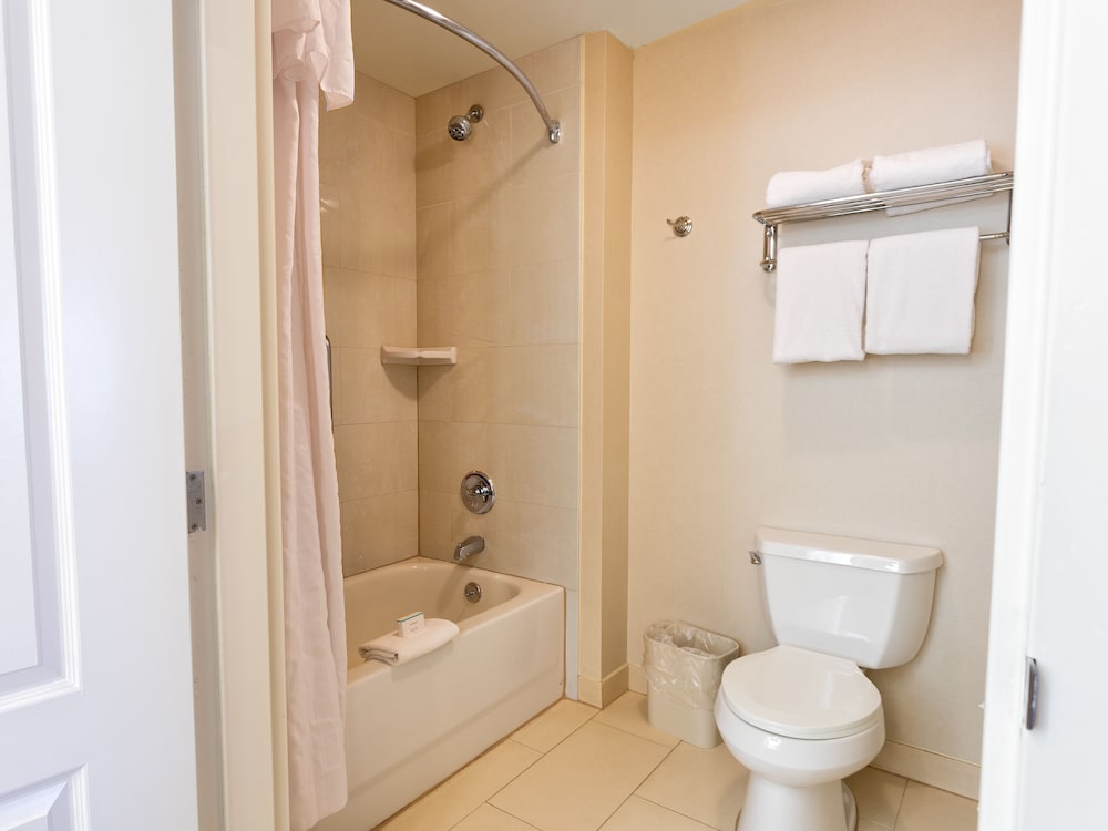 Premium Suite, 1 Bedroom, Non Smoking - Photo 10