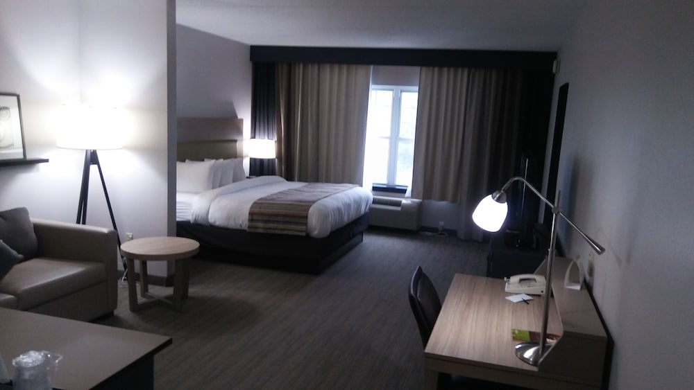 Studio Suite, 1 King Bed, Non Smoking - Photo 2