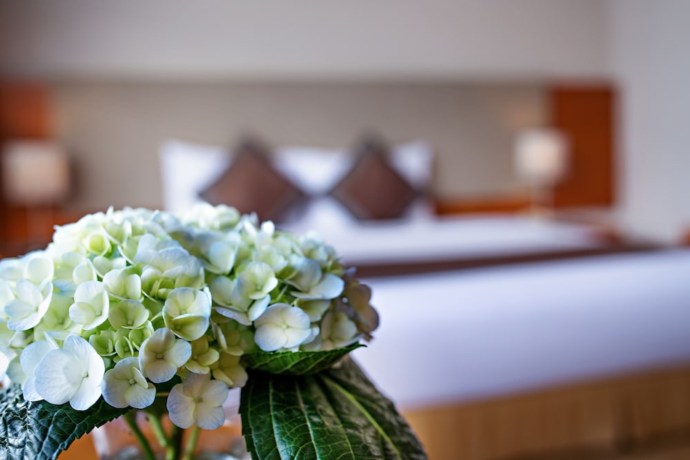 Superior Double Room - Photo 6