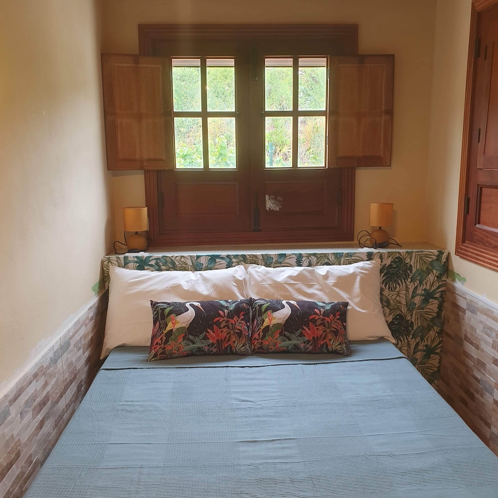 Comfort Quadruple Room photo 2