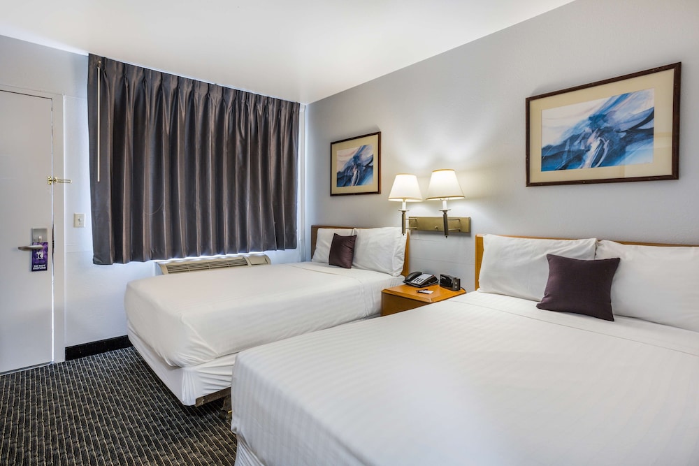 Suite, 2 Double Beds photo 1
