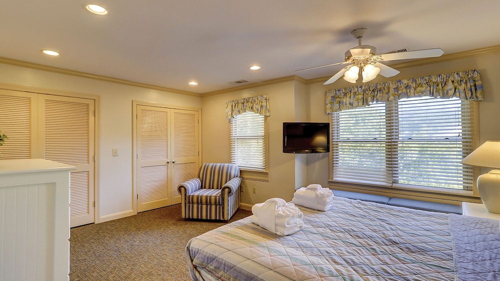 Basic Townhome photo 3