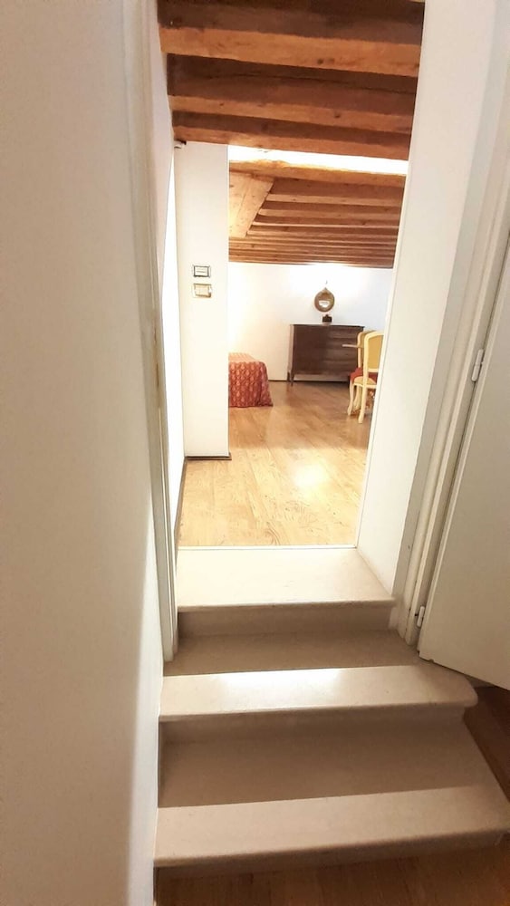 Basic Suite (Small) photo 3