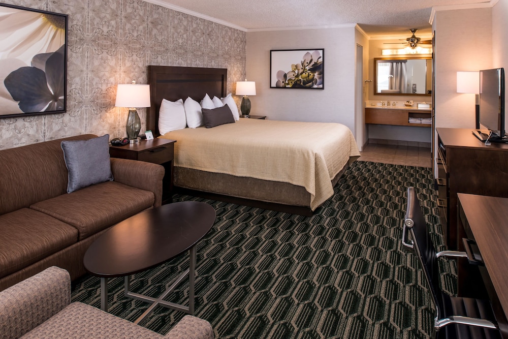 Deluxe Room, 1 King Bed, Non Smoking, Refrigerator & Microwave (with Sofabed) - Photo 3