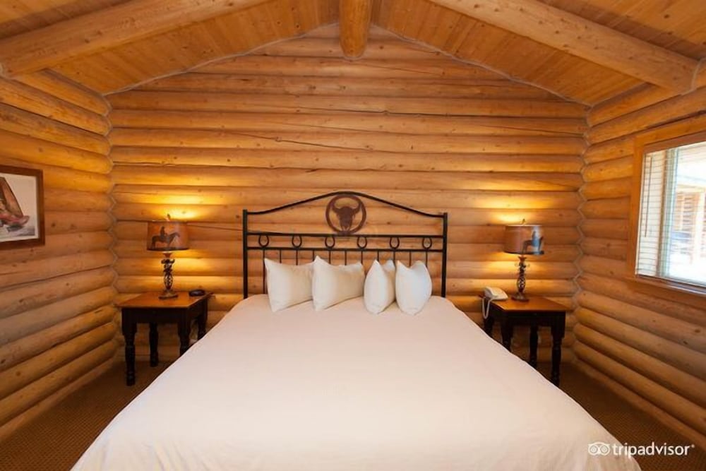 Superior Cabin, 1 King Bed photo 3
