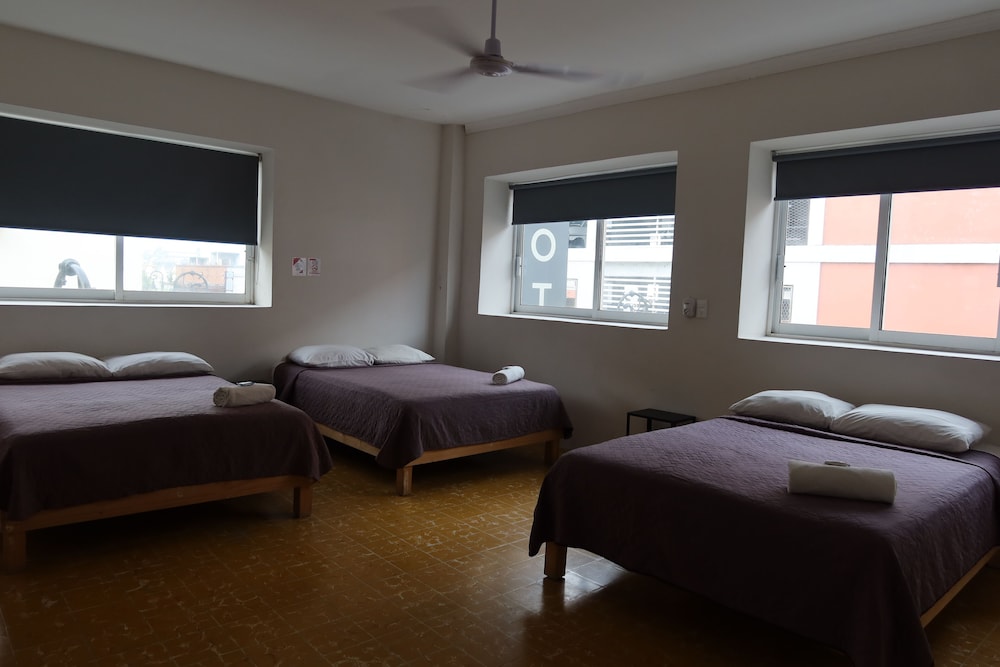 Basic Triple Room