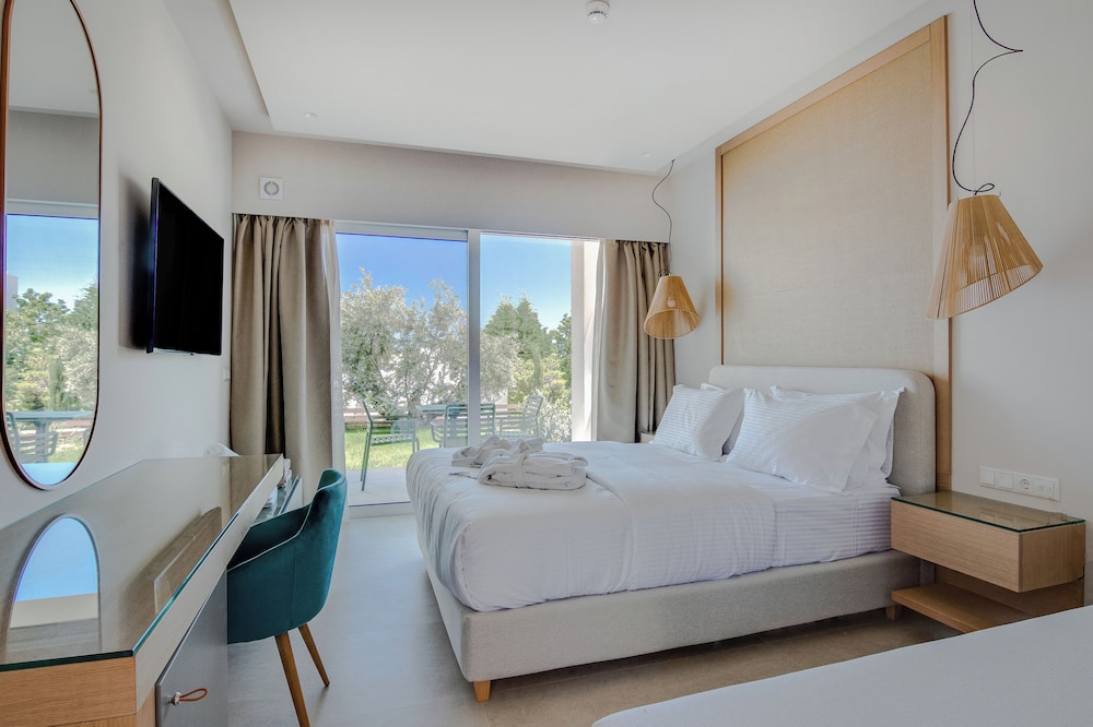 Deluxe Double or Twin Room photo 1