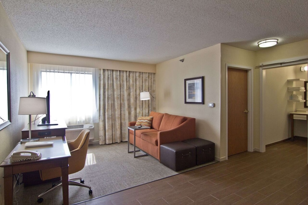 Suite, 1 King Bed, Accessible (No Kitchen, Shower Only) photo 3