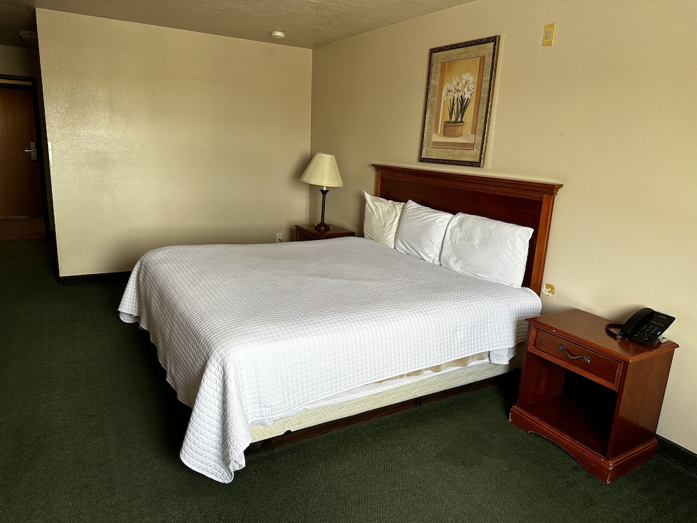 Basic Room, 1 King Bed photo 1