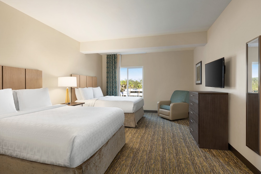 Suite, 1 Bedroom - Photo 1
