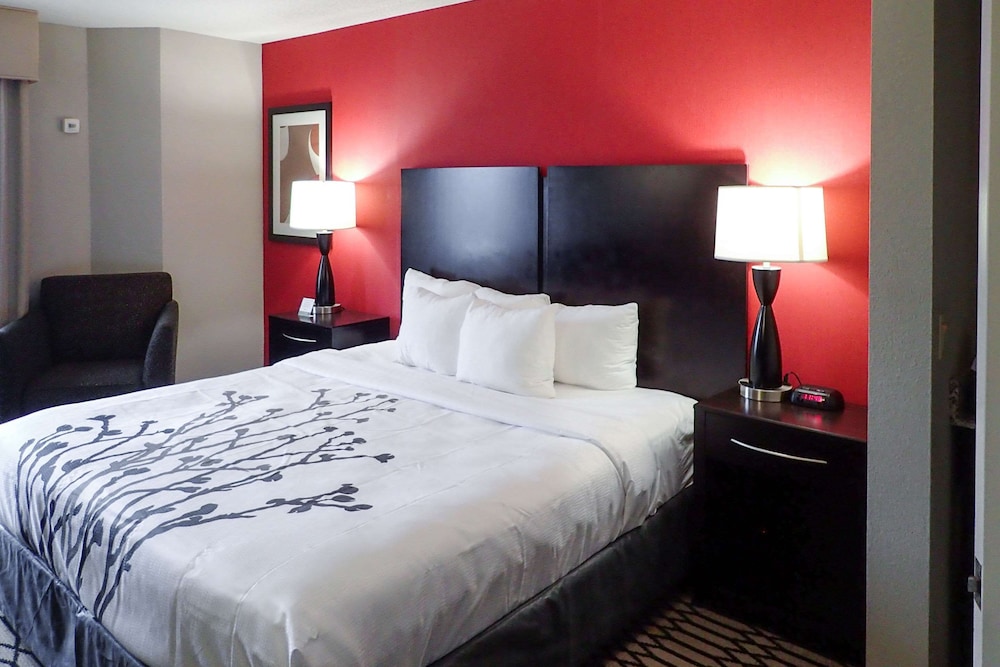 Suite, 1 King Bed With Sofa Bed, Non Smoking photo 1