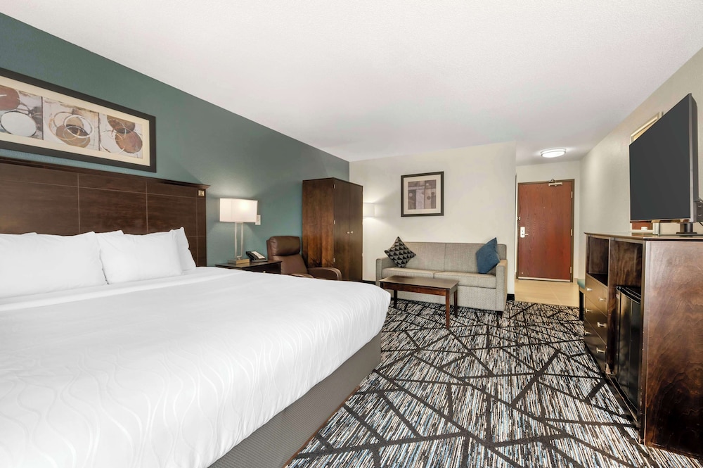 Standard Room, 1 King Bed, Accessible, Non Smoking (Walk-in Shower;with Sofabed) - Photo 1