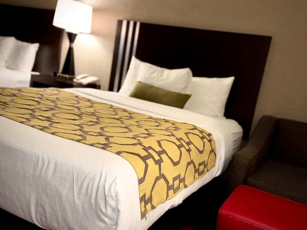 Standard Single Room, 2 Queen Beds