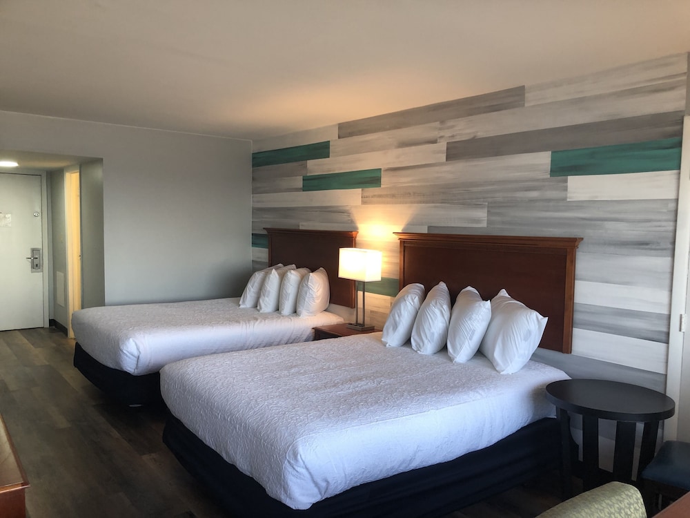 Premier Studio, 2 Queen Beds, Kitchenette, Oceanfront photo 3