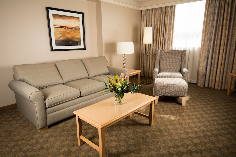 Executive King Suite With Pullout Sofa photo 1