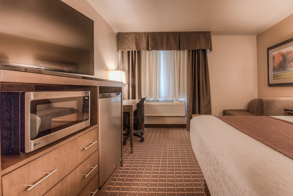 Suite, 1 King Bed, Non Smoking, Refrigerator & Microwave (with Sofabed)