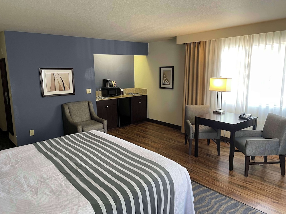 Standard Room, 1 King Bed, Non Smoking, Kitchenette - Photo 5