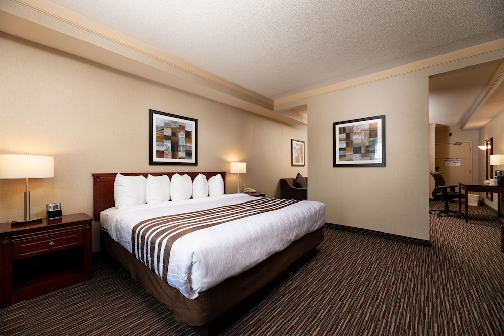 Standard Room, 1 King Bed, Non Smoking, Refrigerator & Microwave (with Sofabed) - Photo 2