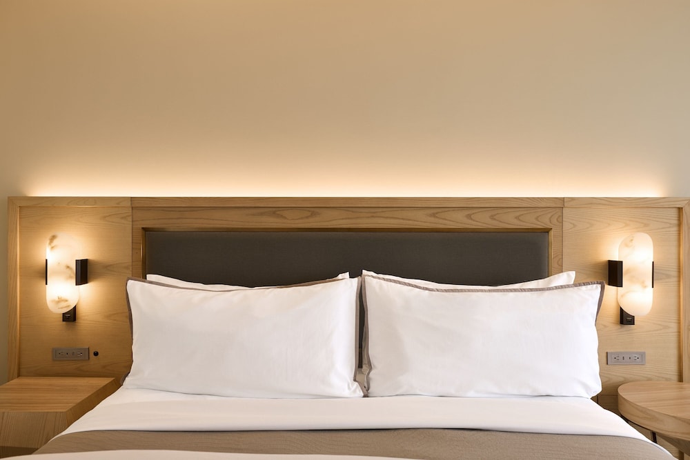Traditional Room, 1 King Bed with Sofa bed (Mobility/Hearing Access, Roll-In Shwr)